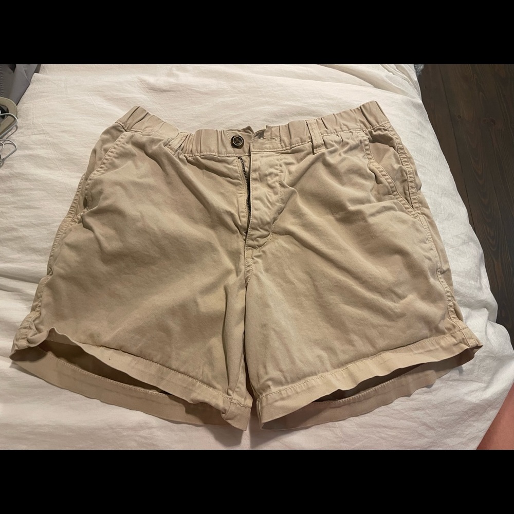 Bear Bottom Mens Shorts